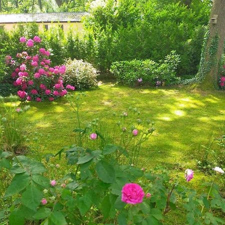 Vakantie Veluwe Wageningue Extérieur photo